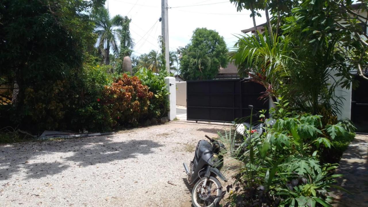 New Moringa Apartment Las Terrenas Luaran gambar