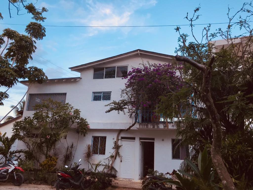 New Moringa Apartment Las Terrenas Luaran gambar