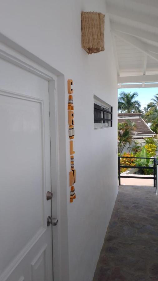 New Moringa Apartment Las Terrenas Luaran gambar