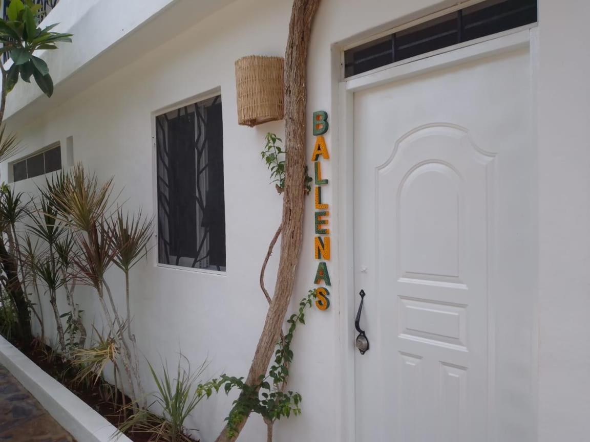 New Moringa Apartment Las Terrenas Luaran gambar
