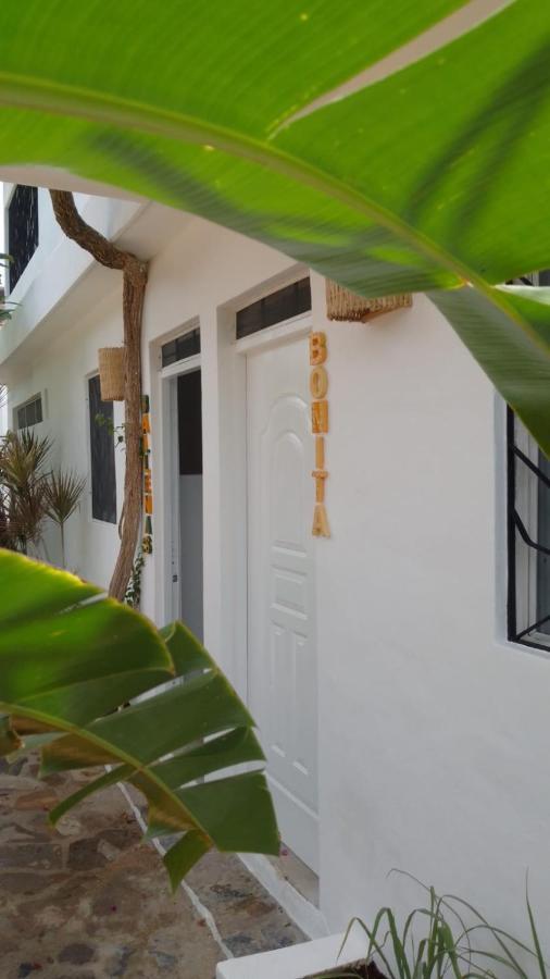 New Moringa Apartment Las Terrenas Luaran gambar
