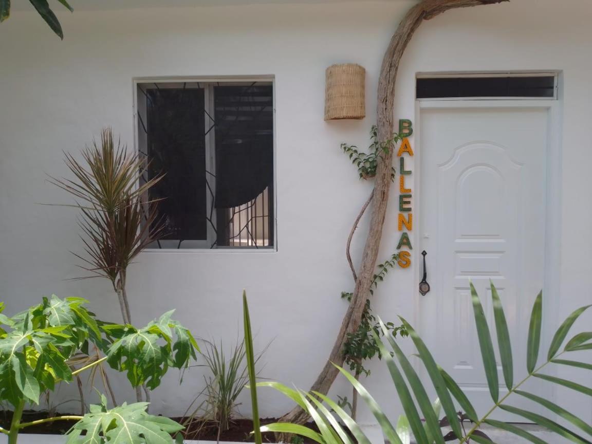 New Moringa Apartment Las Terrenas Luaran gambar