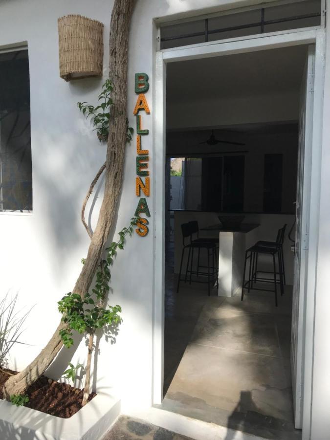 New Moringa Apartment Las Terrenas Luaran gambar