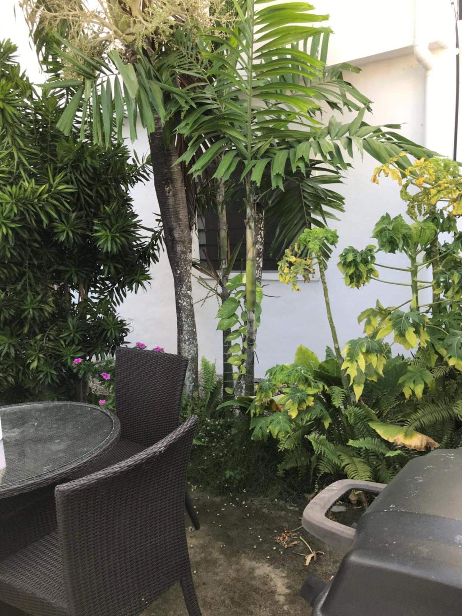New Moringa Apartment Las Terrenas Luaran gambar
