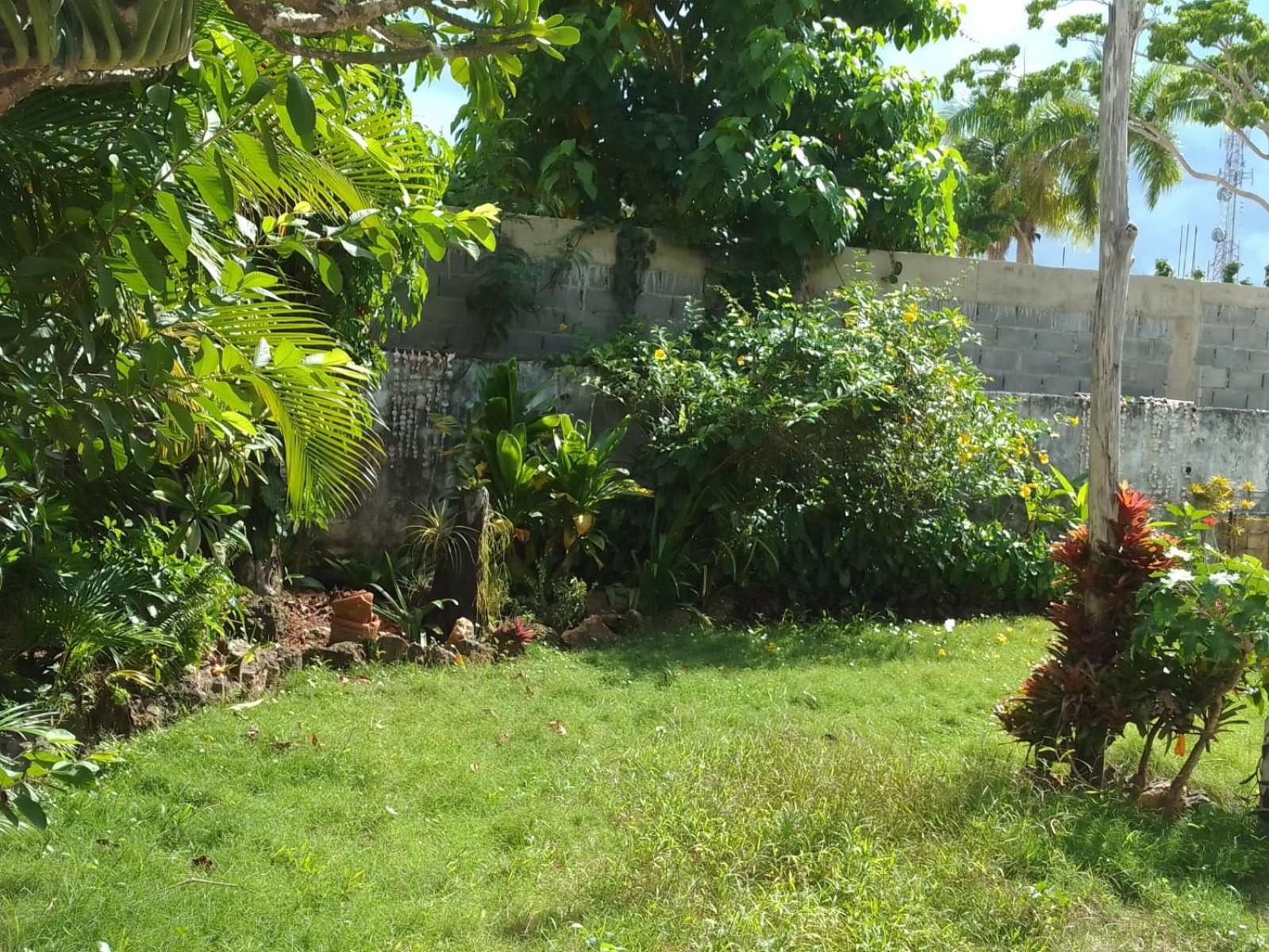 New Moringa Apartment Las Terrenas Luaran gambar
