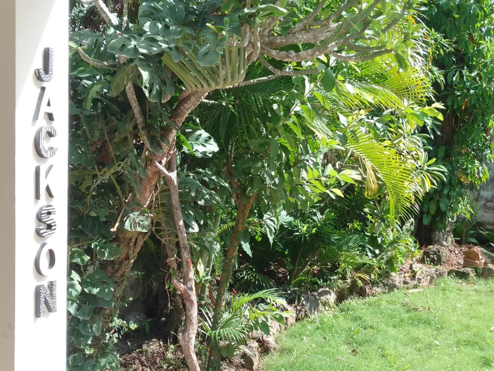New Moringa Apartment Las Terrenas Luaran gambar