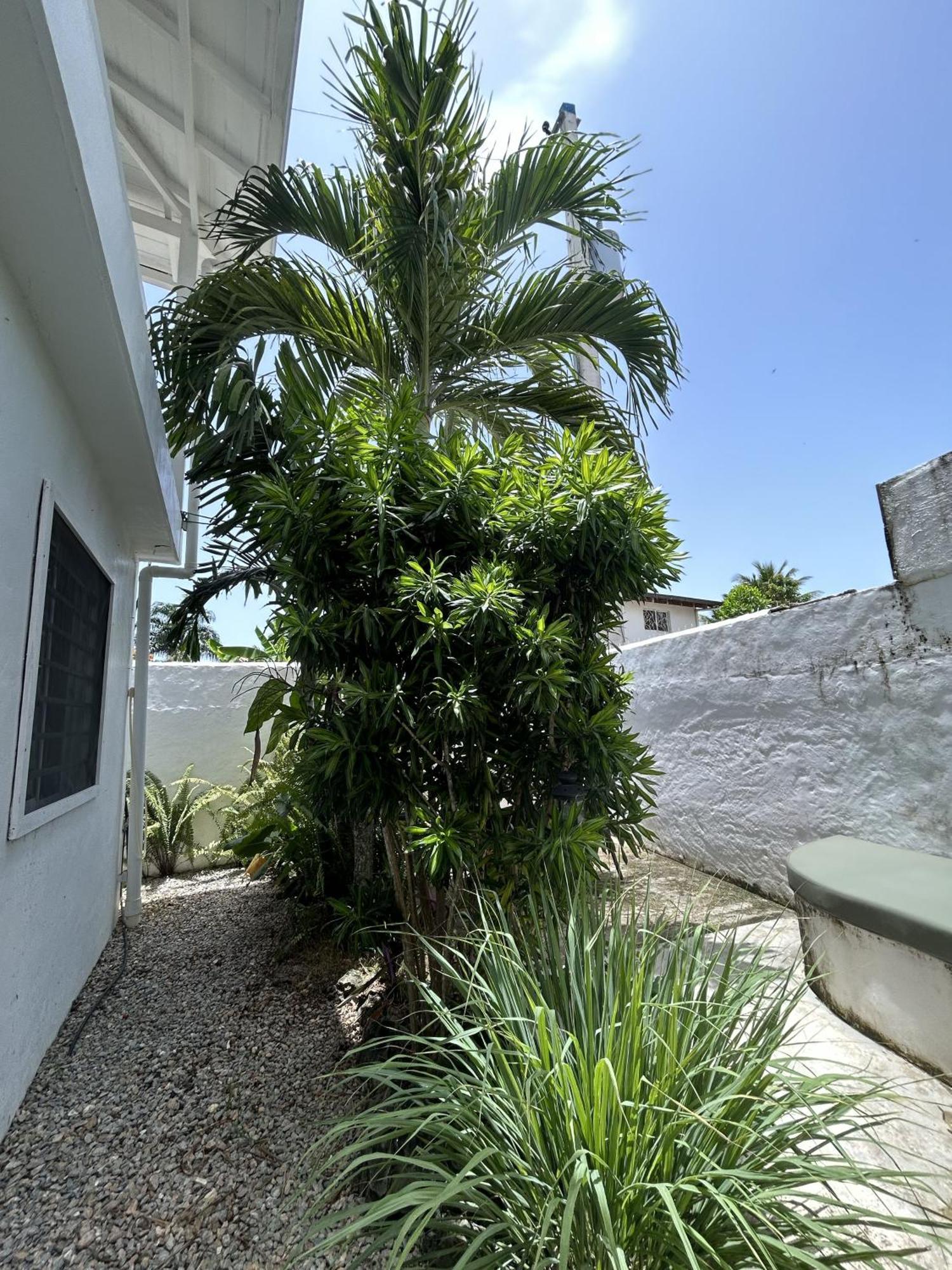 New Moringa Apartment Las Terrenas Luaran gambar